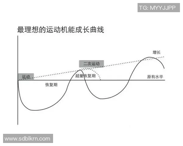 足球球星体力不支原因分析:生理负荷过大与恢复不足的双重挑战
